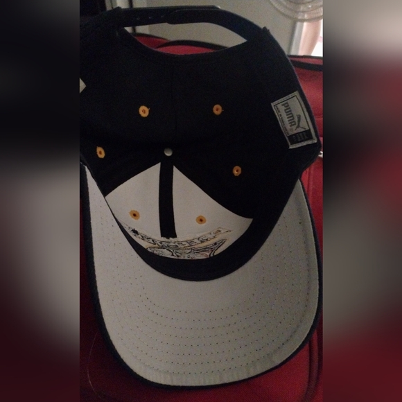 Vintage Nashville predators NHL hat - Picture 4 of 4